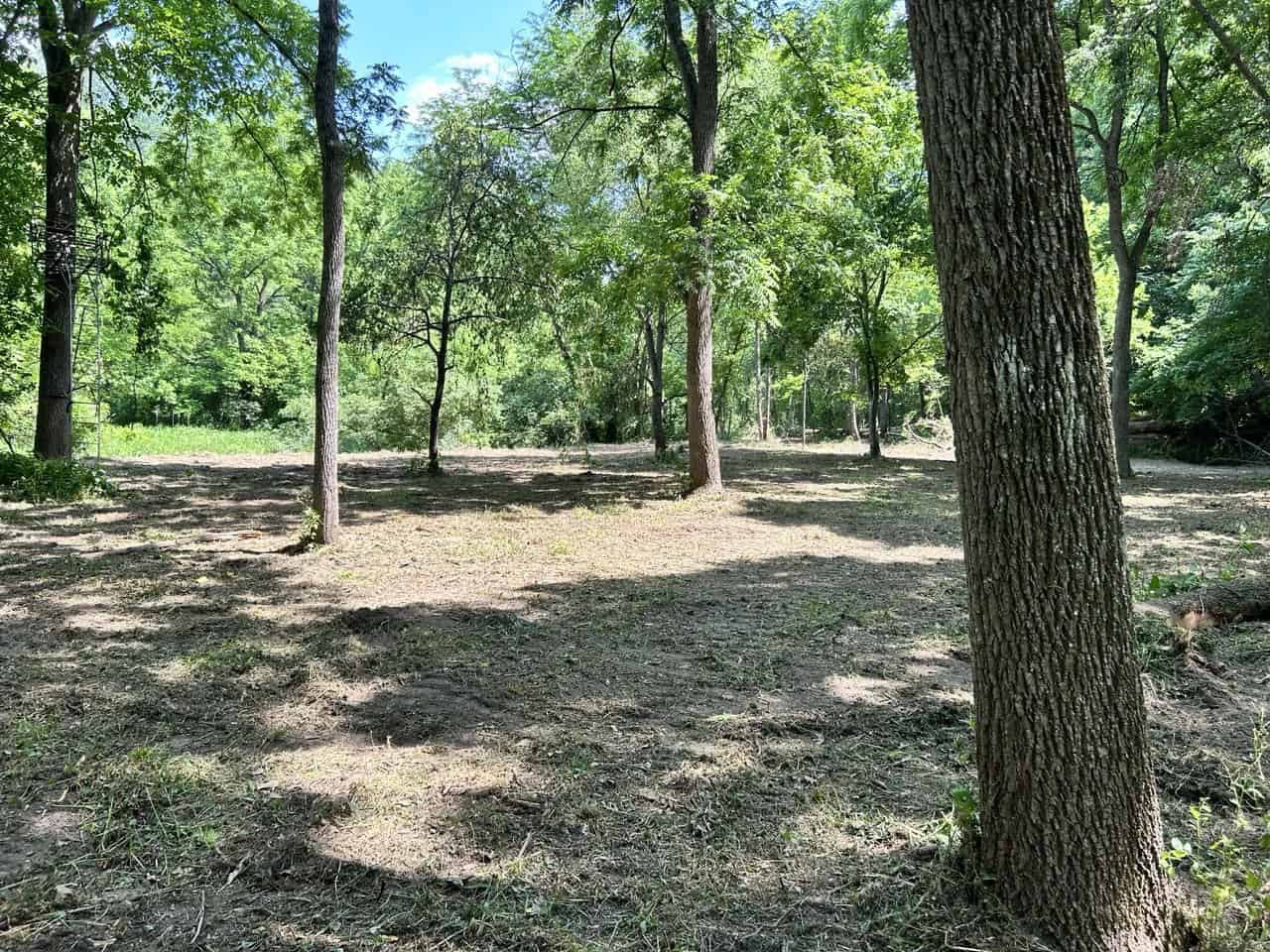 Forestry Mulching