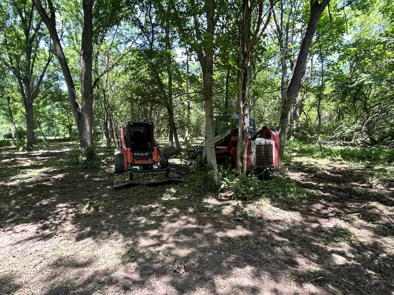 Land Clearing