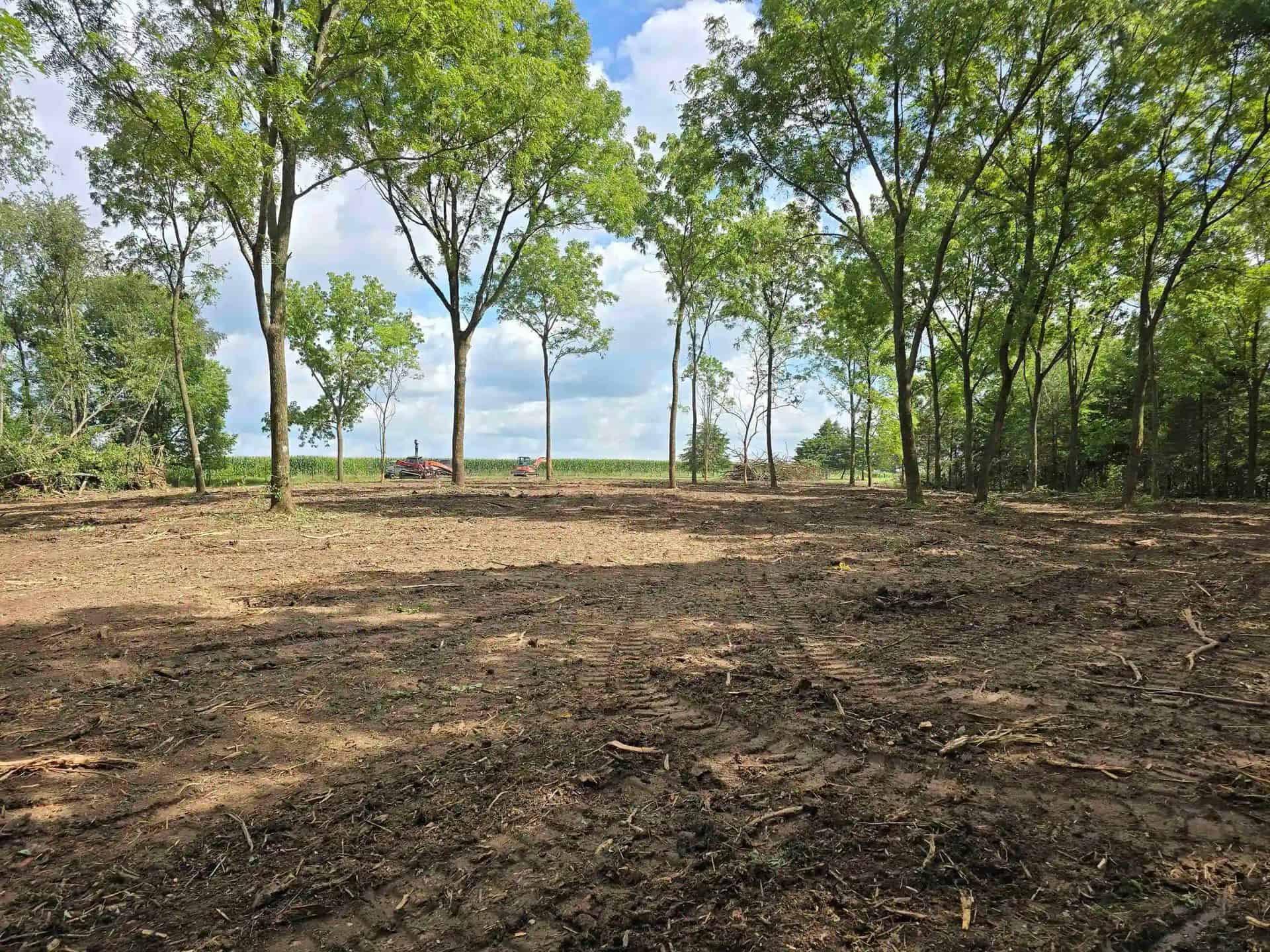 Land Clearing